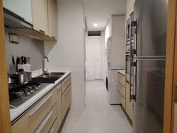 8 @ Mount Sophia (D9), Condominium #483964531